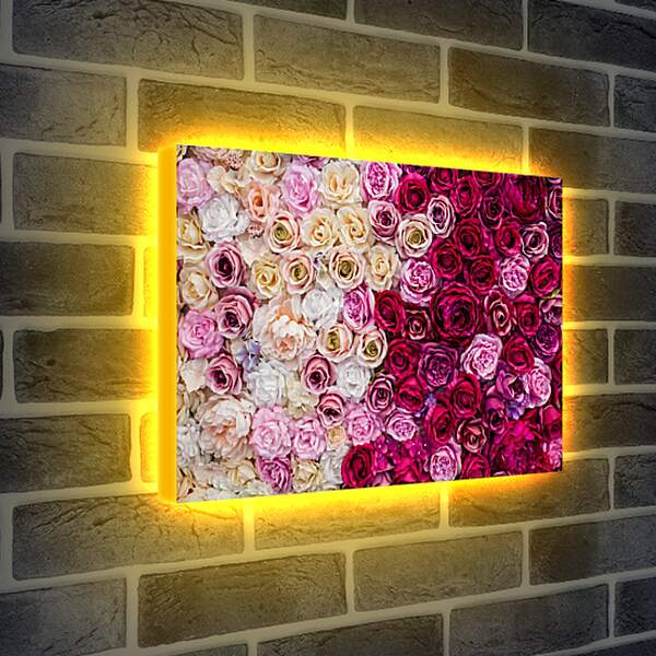 Лайтбокс световая панель - Разные розы. Цветы.