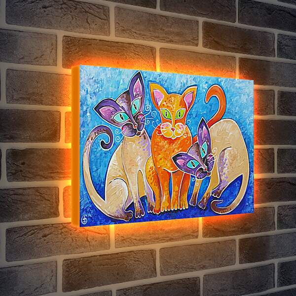 Лайтбокс световая панель - Коты