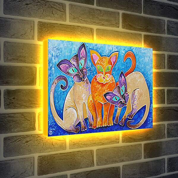 Лайтбокс световая панель - Коты