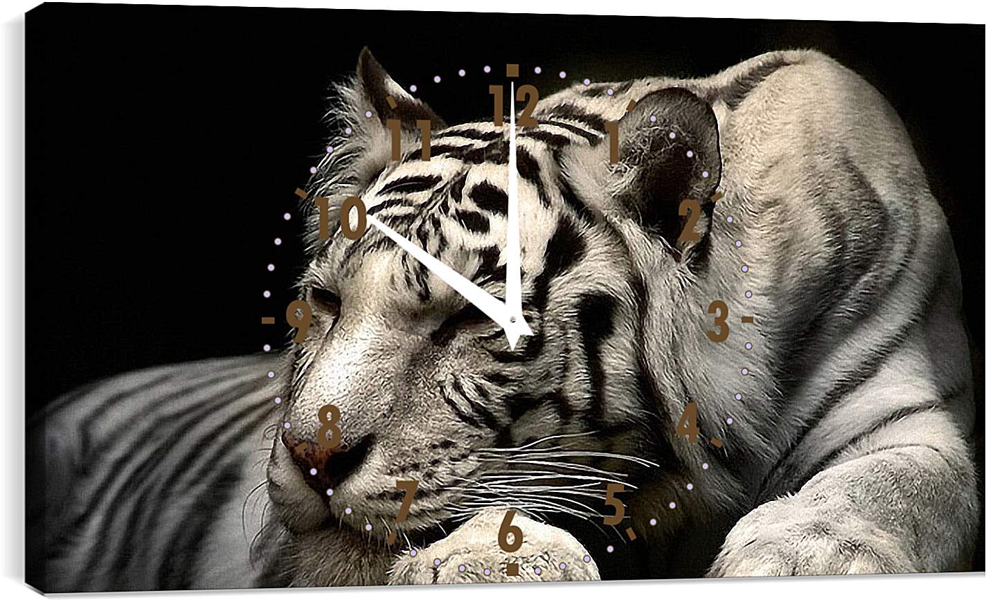 Часы картина - Белый тигр. Животные