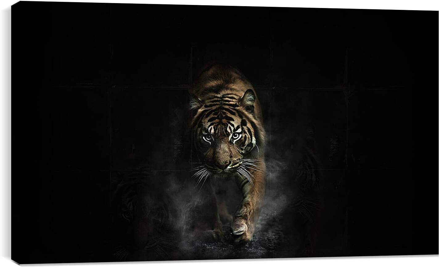 Постер и плакат - Взрослый коричневый тигр. Тигр. Животные