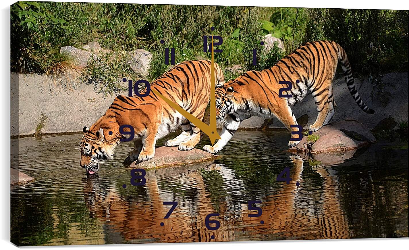 Часы картина - Два коричневых тигра. Животные. Бенгальские тигры