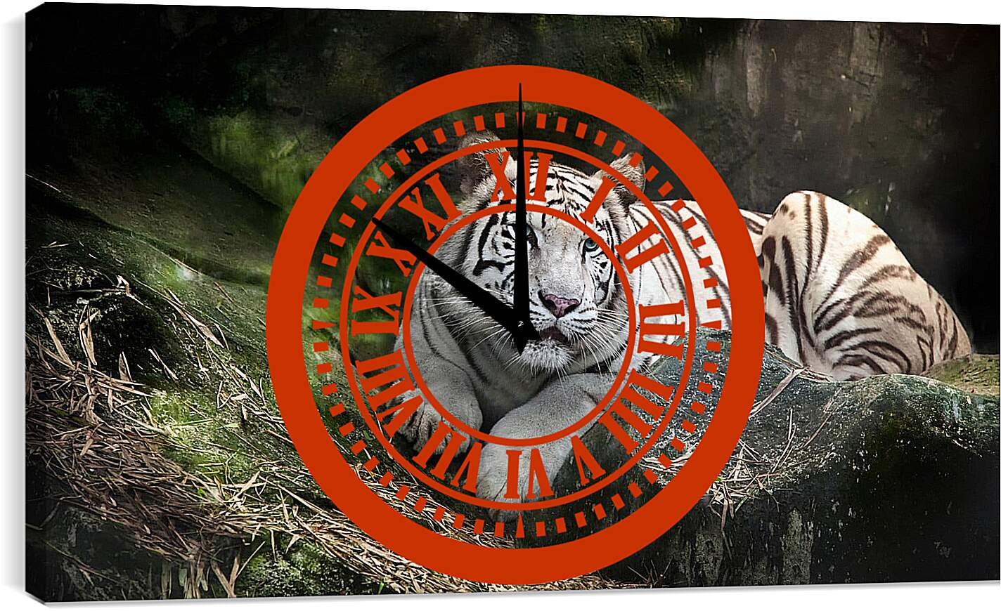 Часы картина - Белый тигр. Животные. Природа