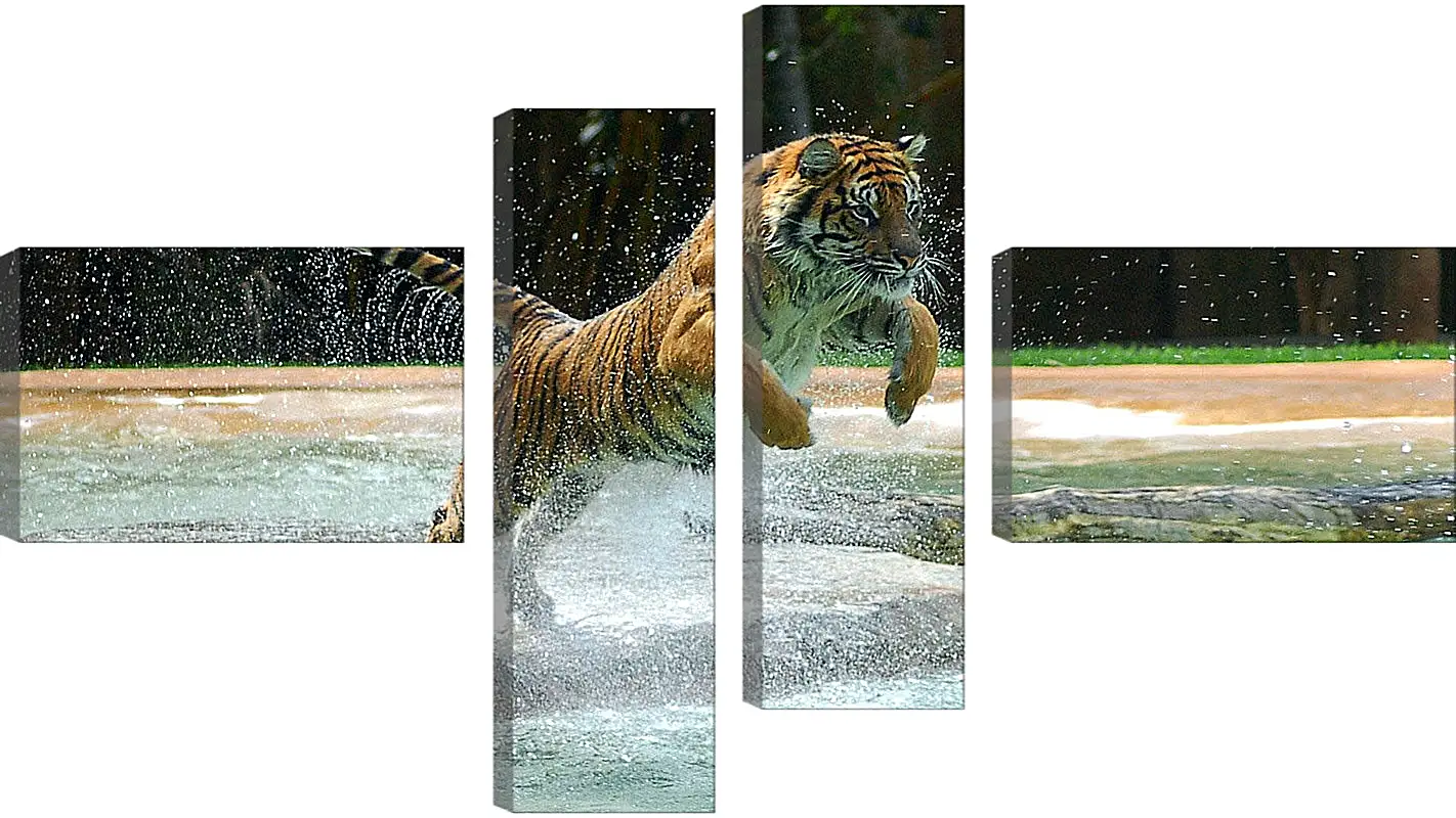 Модульная картина - Коричневый тигр. Вода. Животные