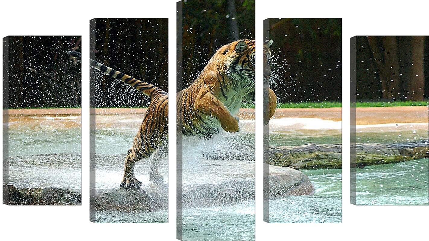Модульная картина - Коричневый тигр. Вода. Животные