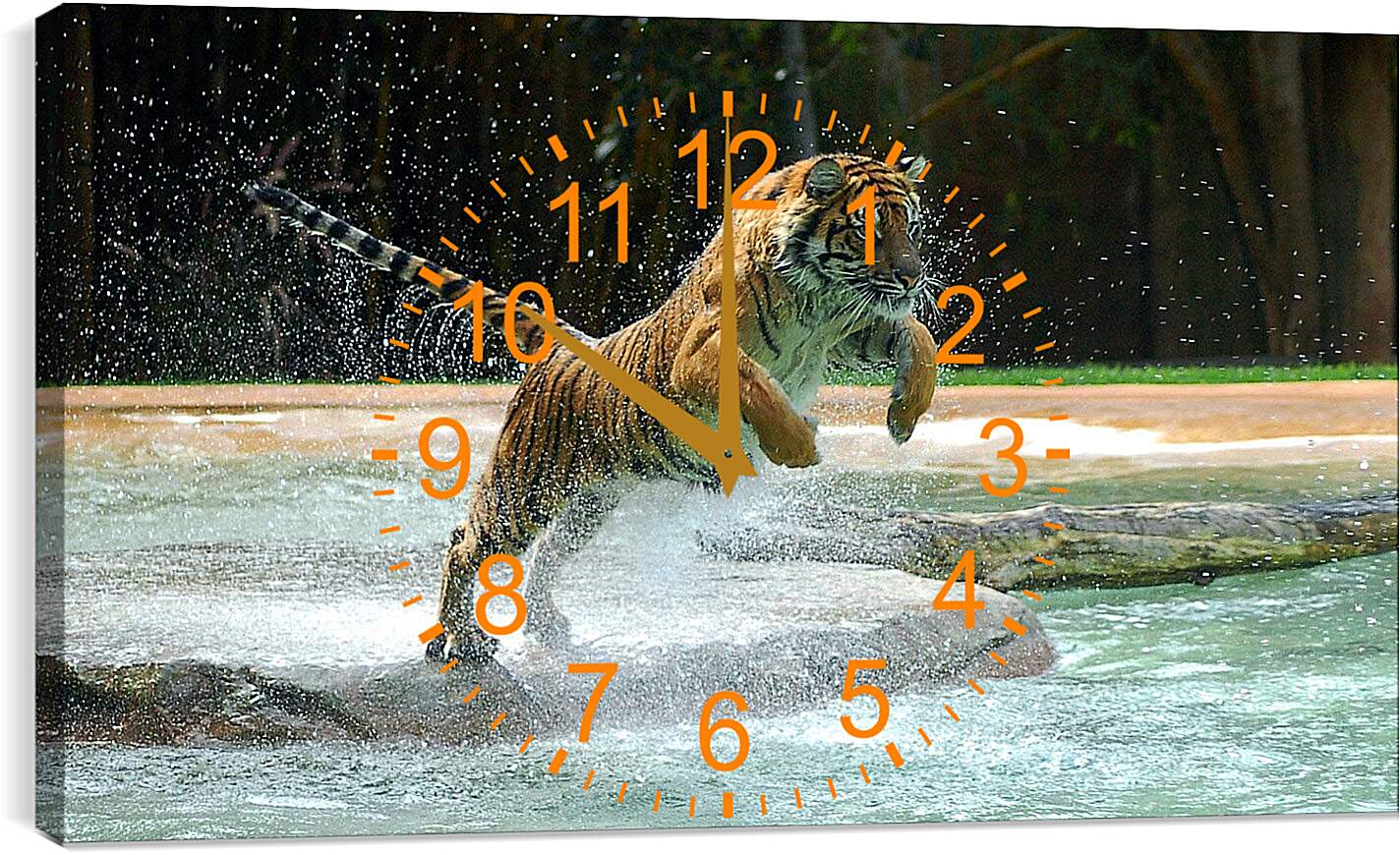 Часы картина - Коричневый тигр. Вода. Животные