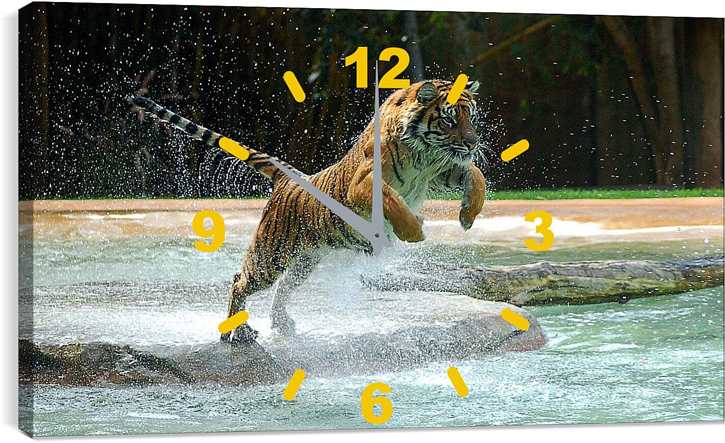 Часы картина - Коричневый тигр. Вода. Животные
