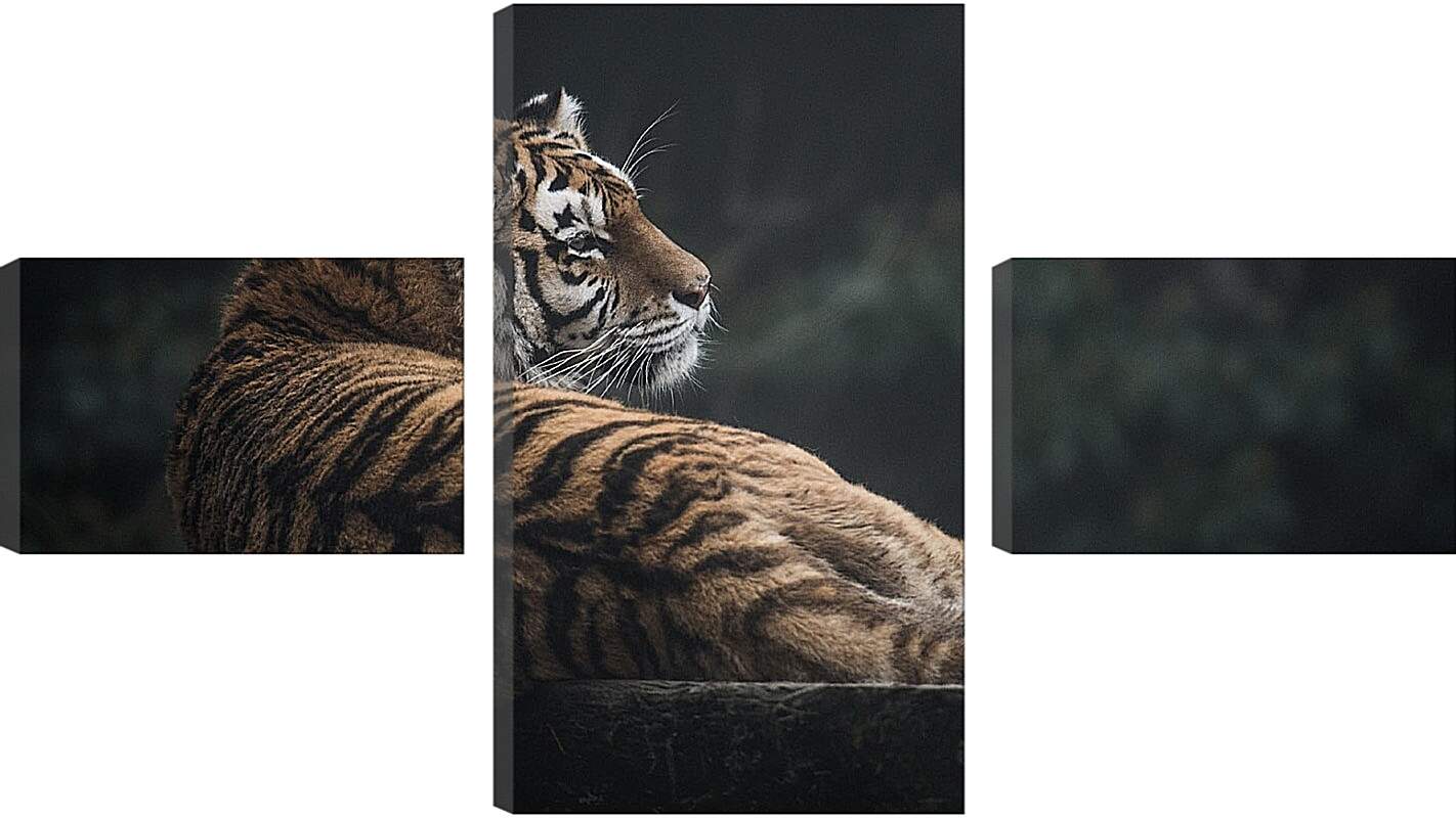 Модульная картина - Коричневый тигр. Большая кошка