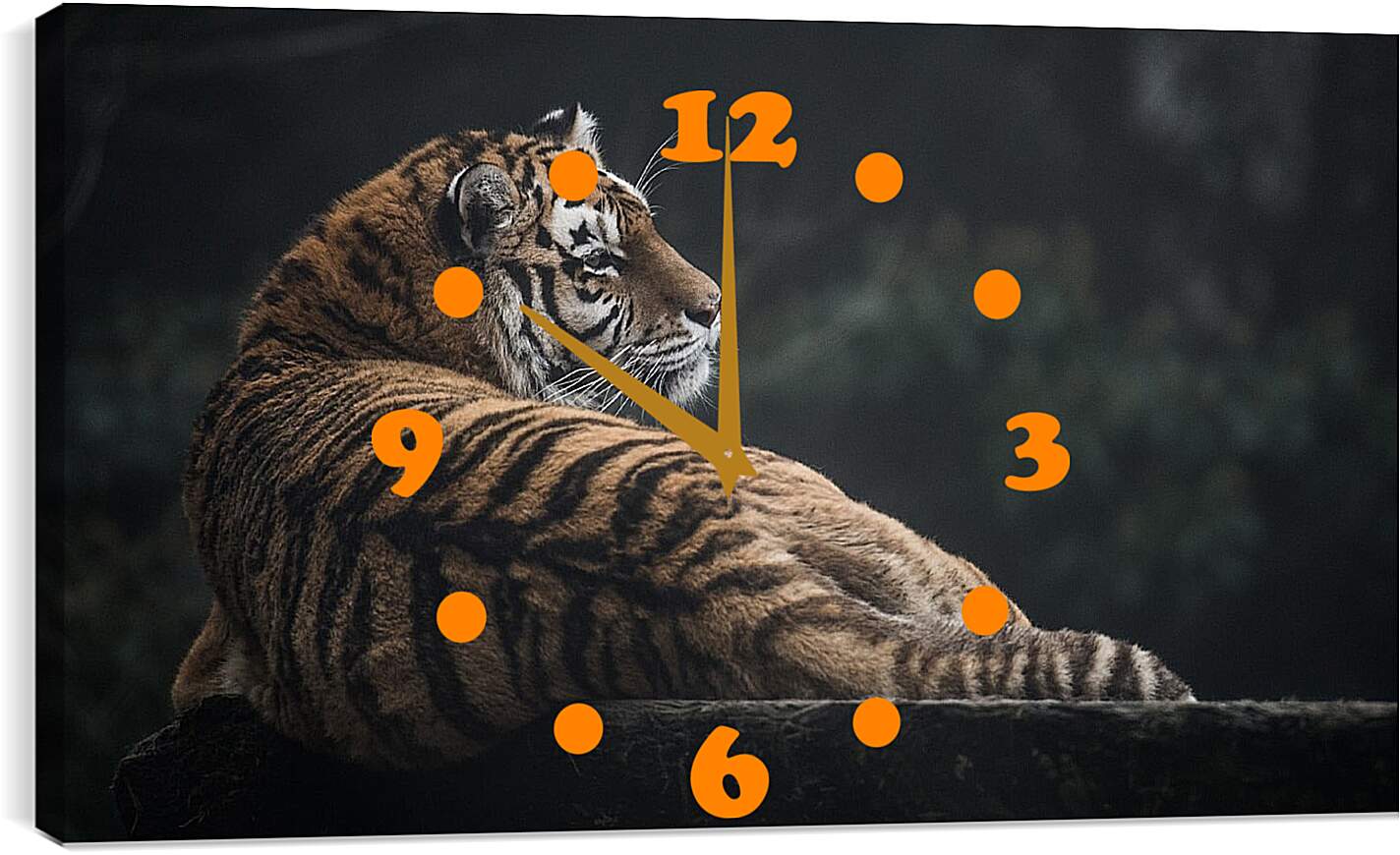 Часы картина - Коричневый тигр. Большая кошка