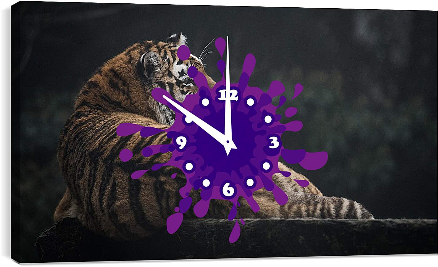 Часы картина - Коричневый тигр. Большая кошка