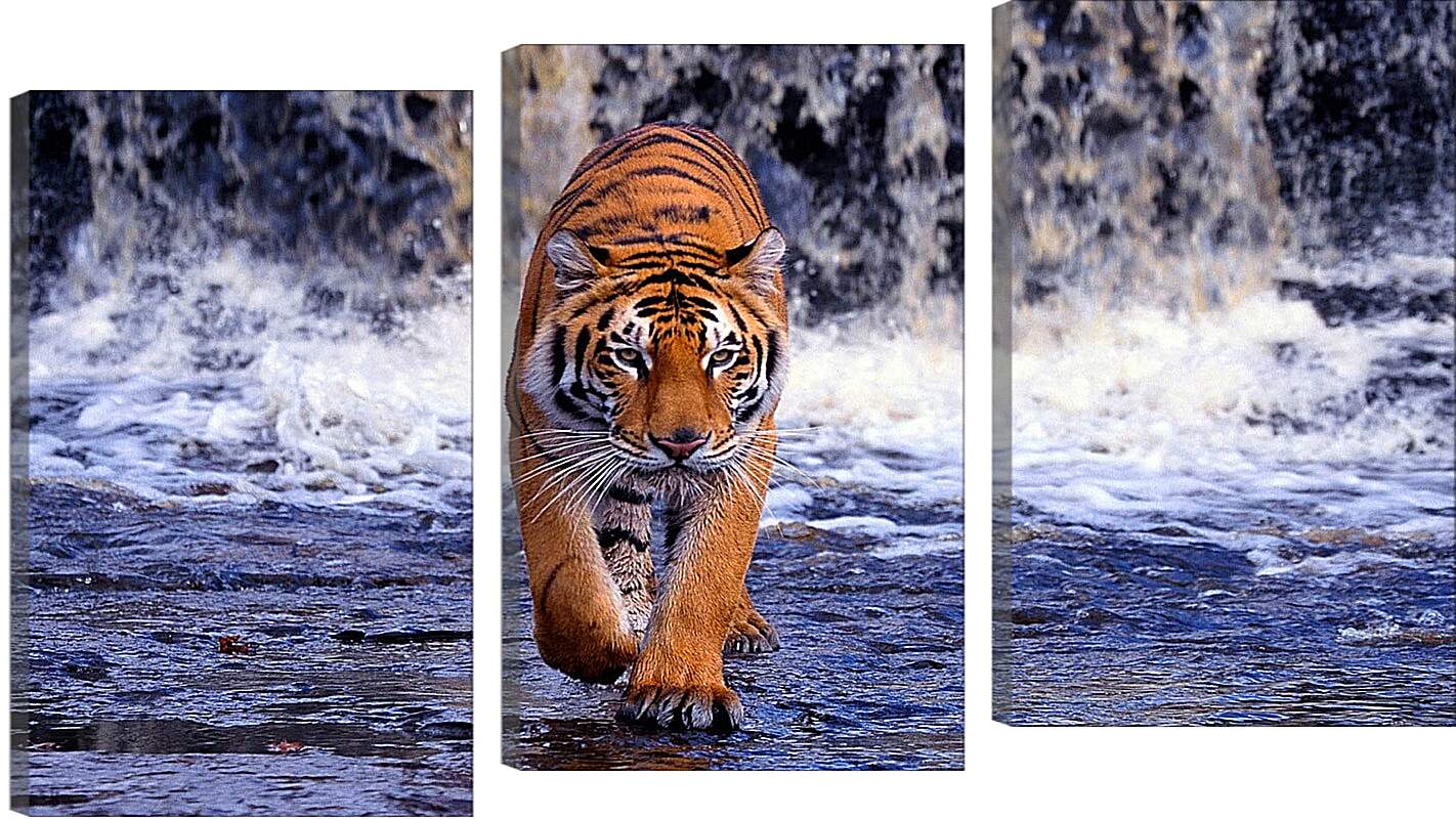 Модульная картина - Коричневый тигр. Водопад