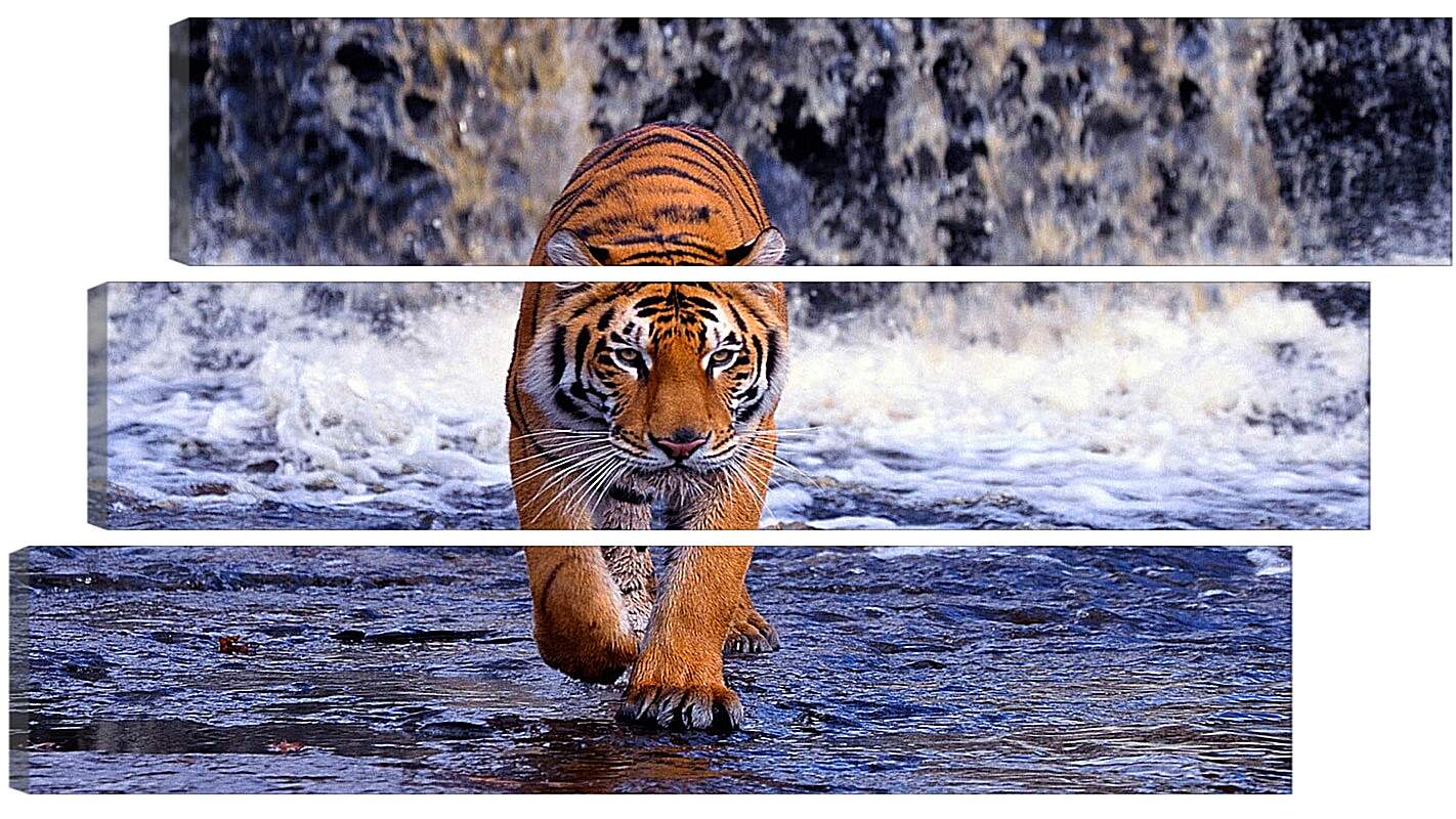 Модульная картина - Коричневый тигр. Водопад