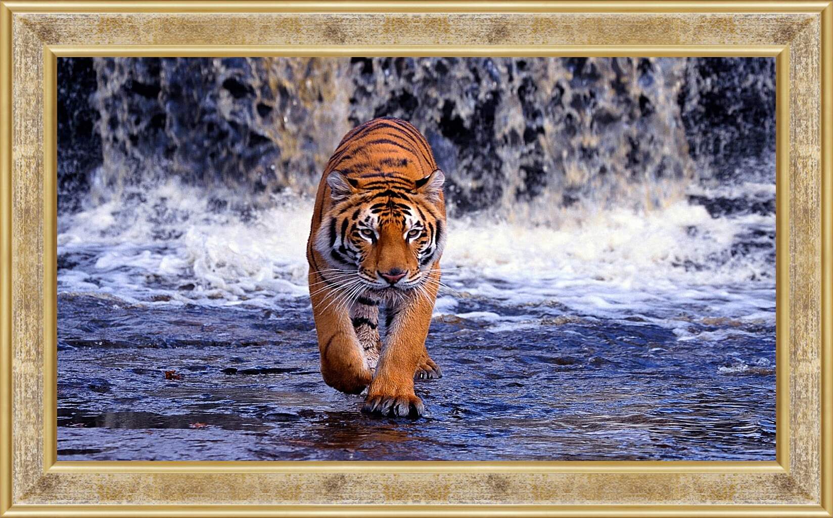 Картина в раме - Коричневый тигр. Водопад