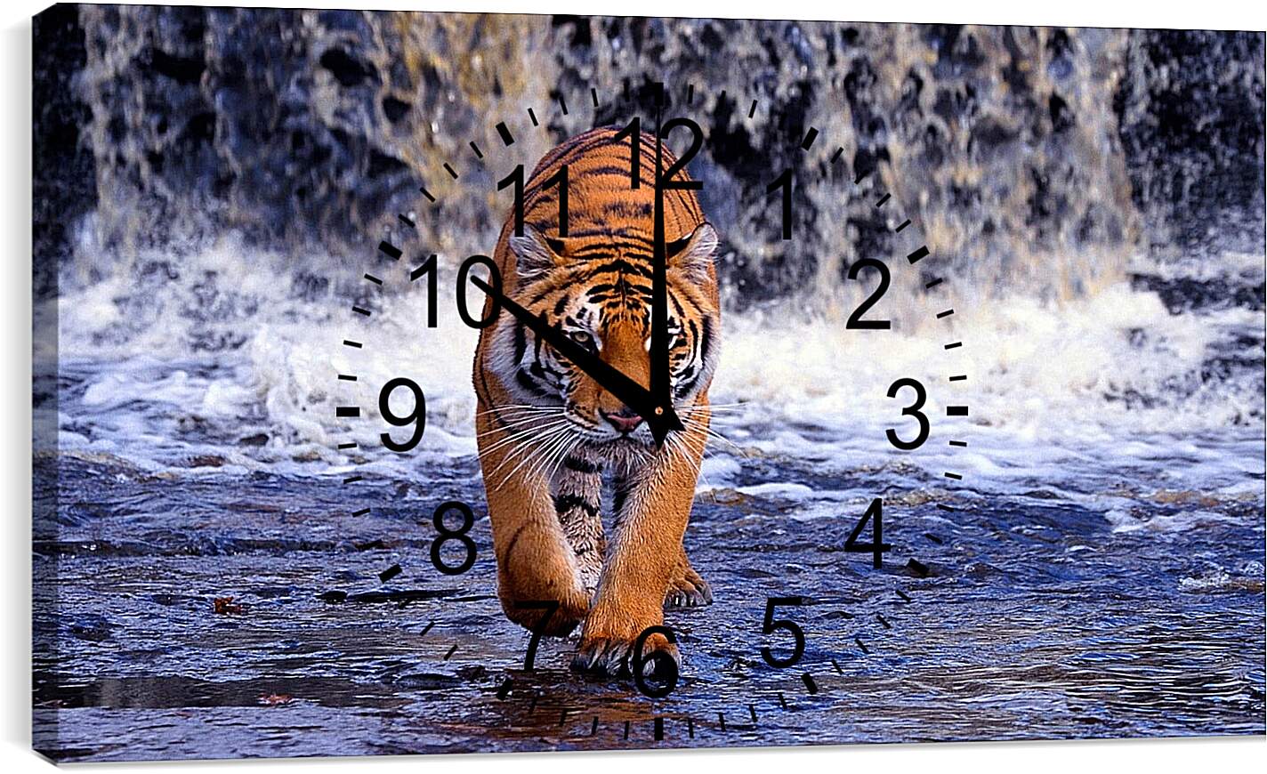 Часы картина - Коричневый тигр. Водопад