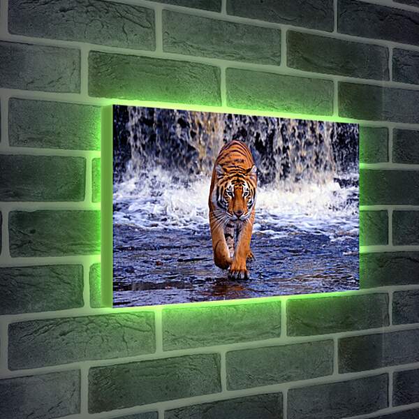 Лайтбокс световая панель - Коричневый тигр. Водопад