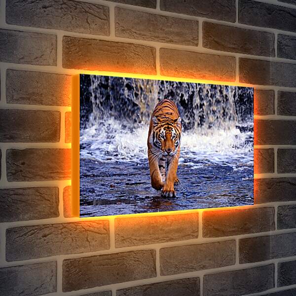 Лайтбокс световая панель - Коричневый тигр. Водопад