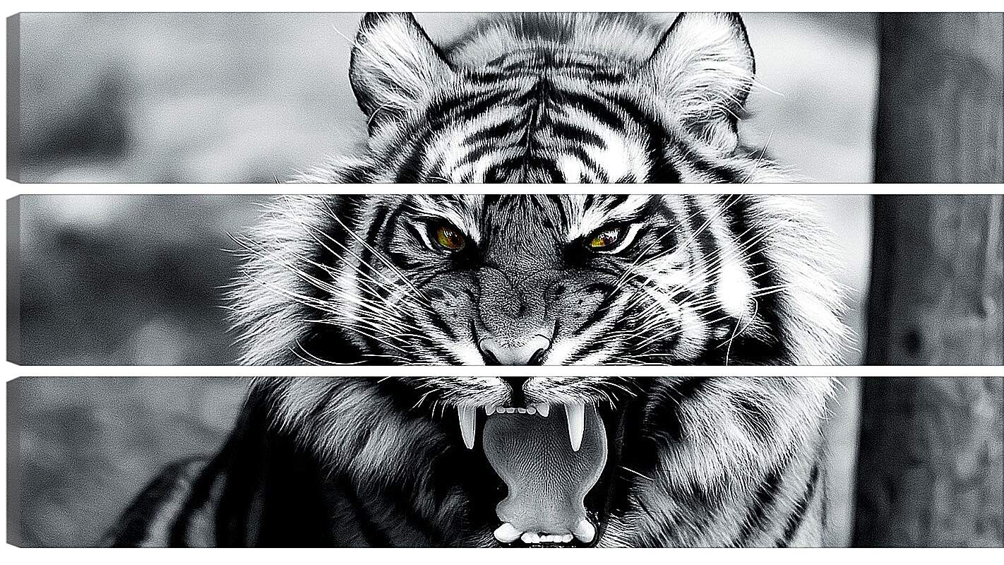 Модульная картина - Белый тигр. Животные. Большая кошка