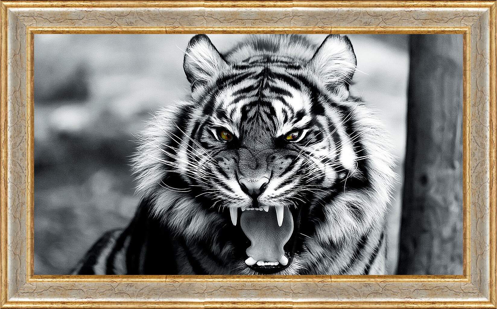 Картина в раме - Белый тигр. Животные. Большая кошка