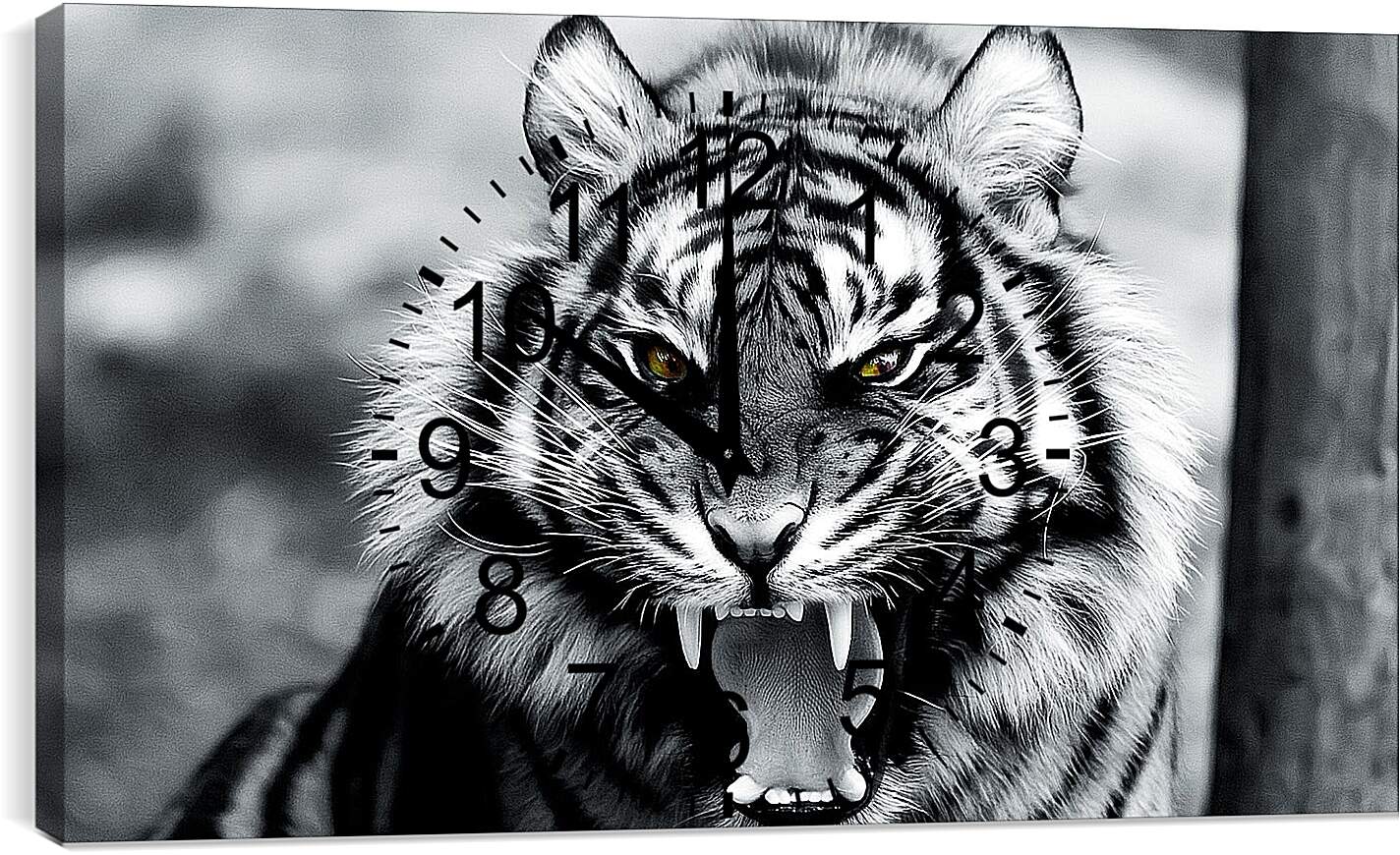 Часы картина - Белый тигр. Животные. Большая кошка