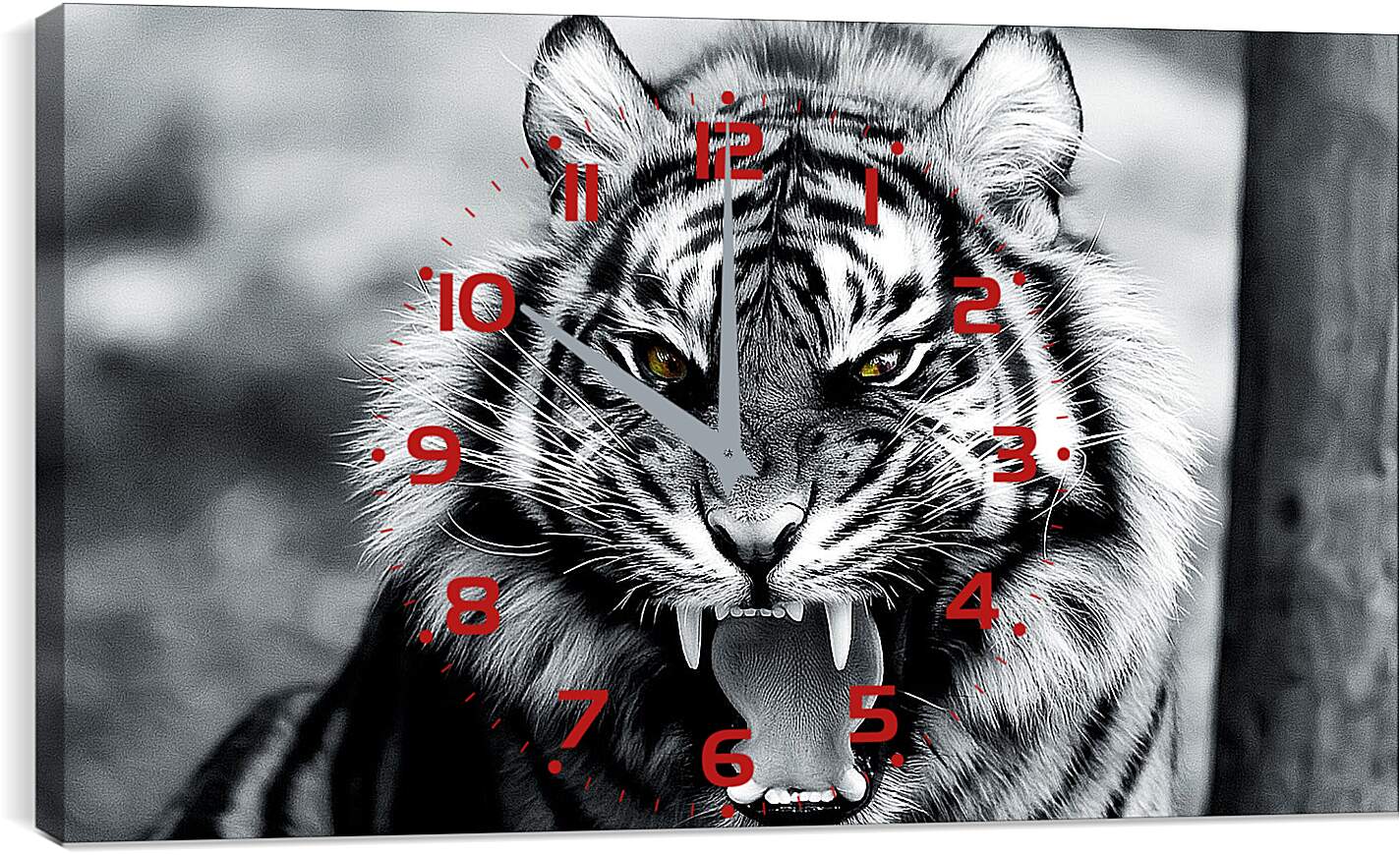 Часы картина - Белый тигр. Животные. Большая кошка