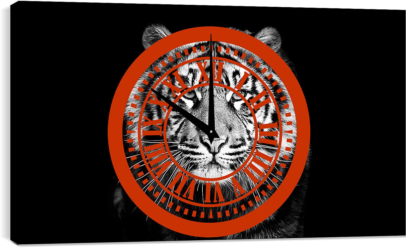 Часы картина - Белый тигр. Хищник. Крупным планом