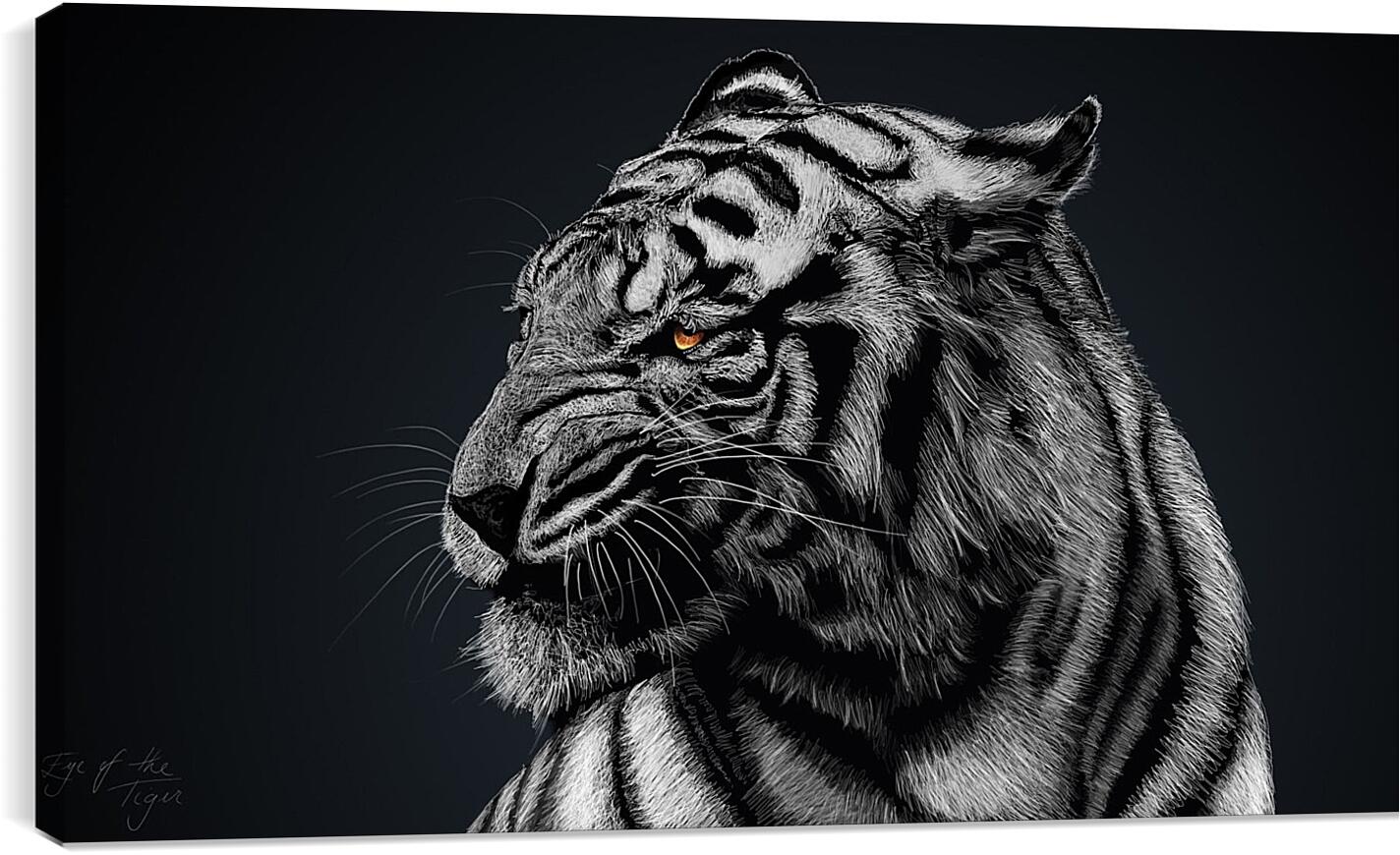 Постер и плакат - Белый тигр. Большая кошка. Хищник
