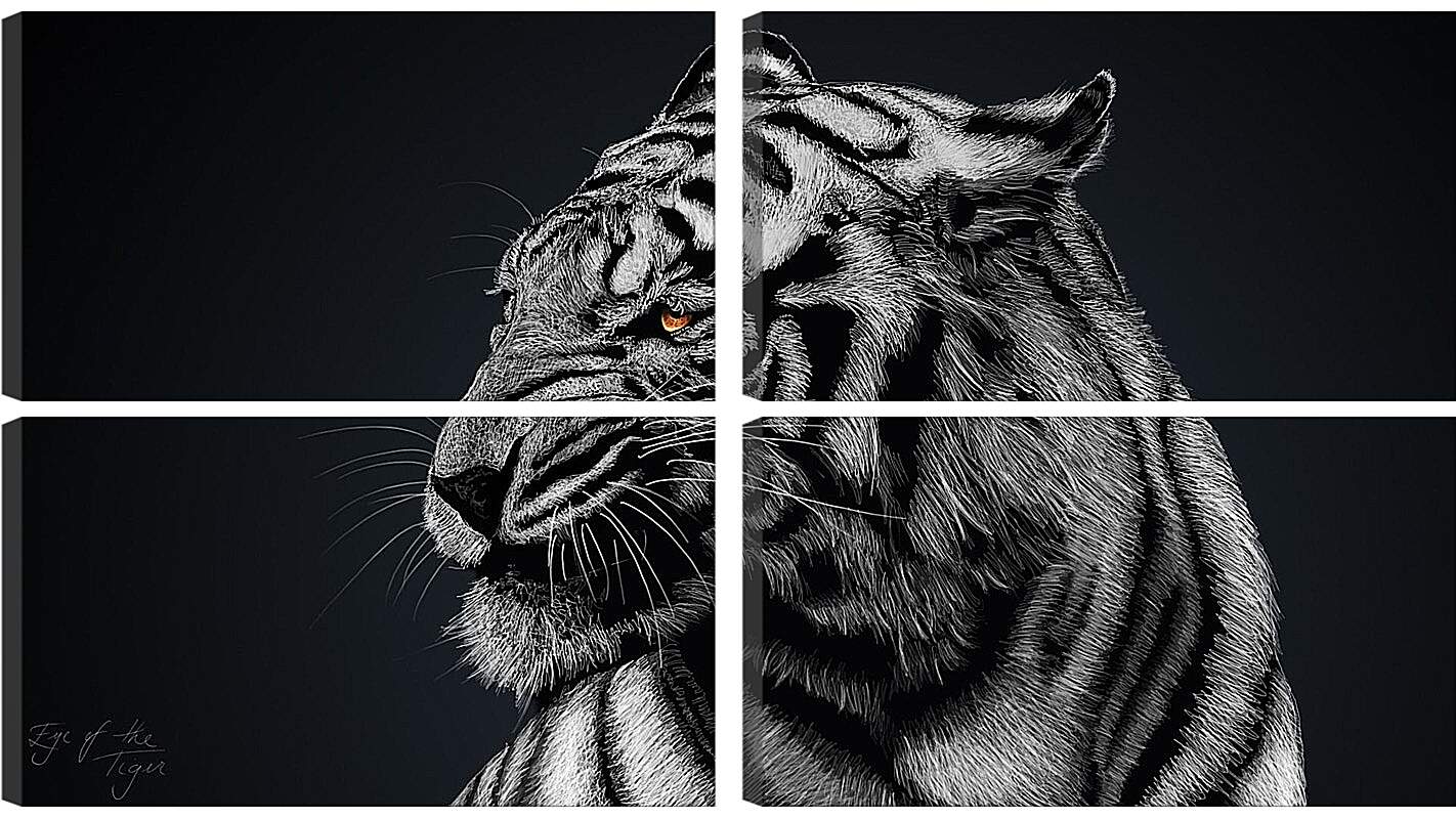 Модульная картина - Белый тигр. Большая кошка. Хищник