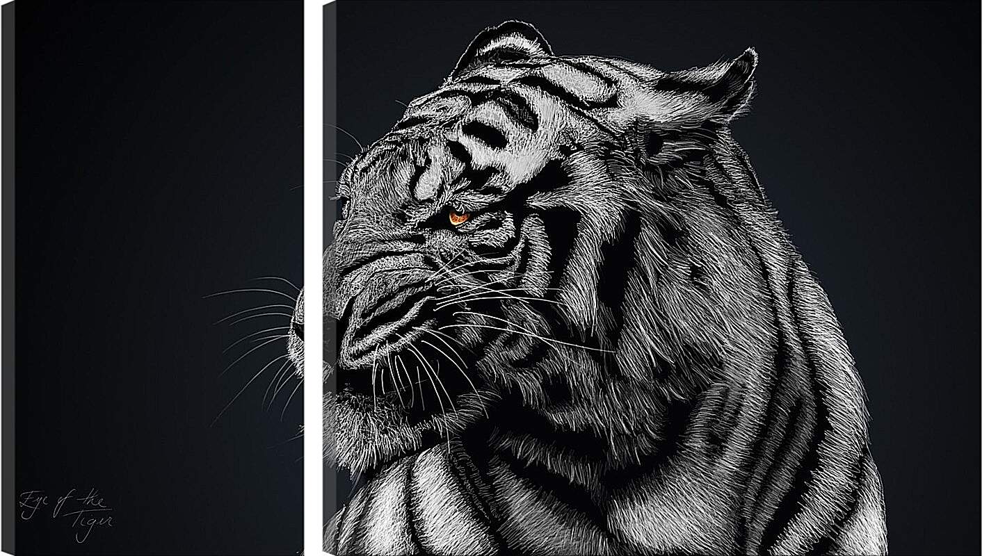 Модульная картина - Белый тигр. Большая кошка. Хищник