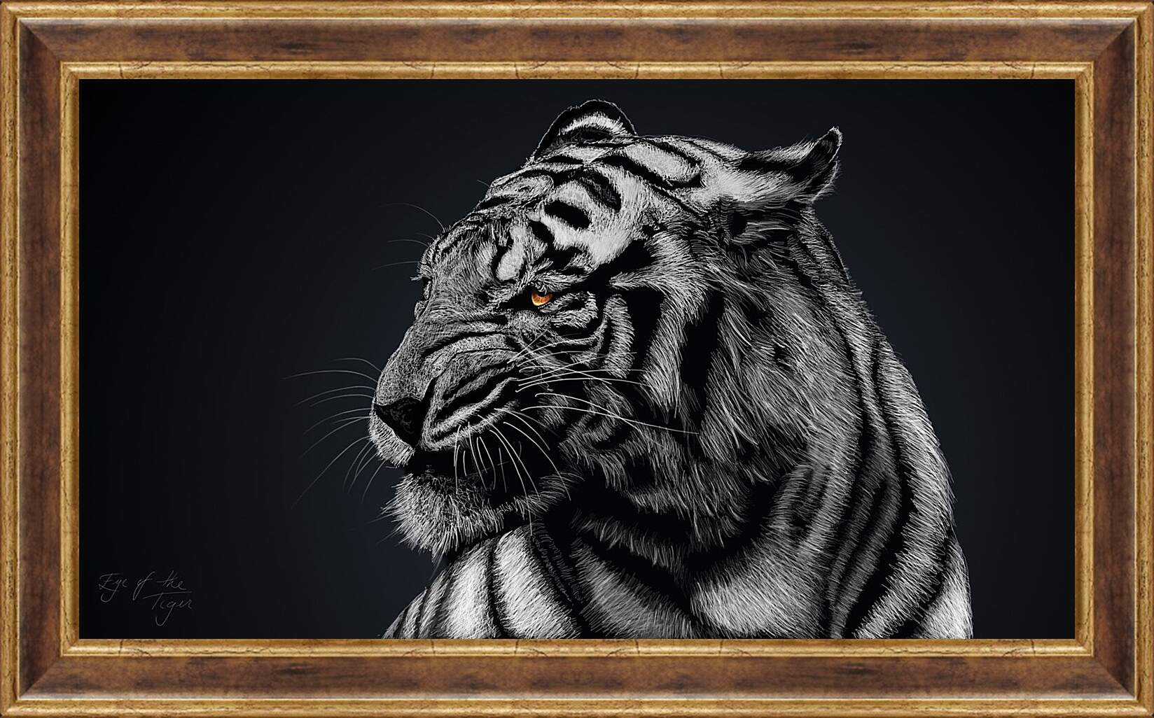 Картина в раме - Белый тигр. Большая кошка. Хищник