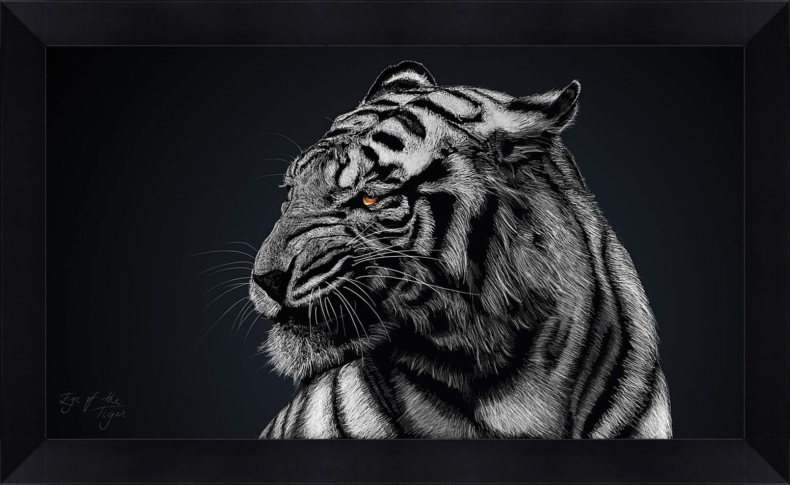 Картина в раме - Белый тигр. Большая кошка. Хищник