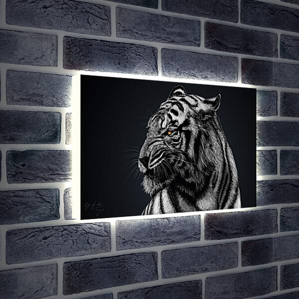Лайтбокс световая панель - Белый тигр. Большая кошка. Хищник