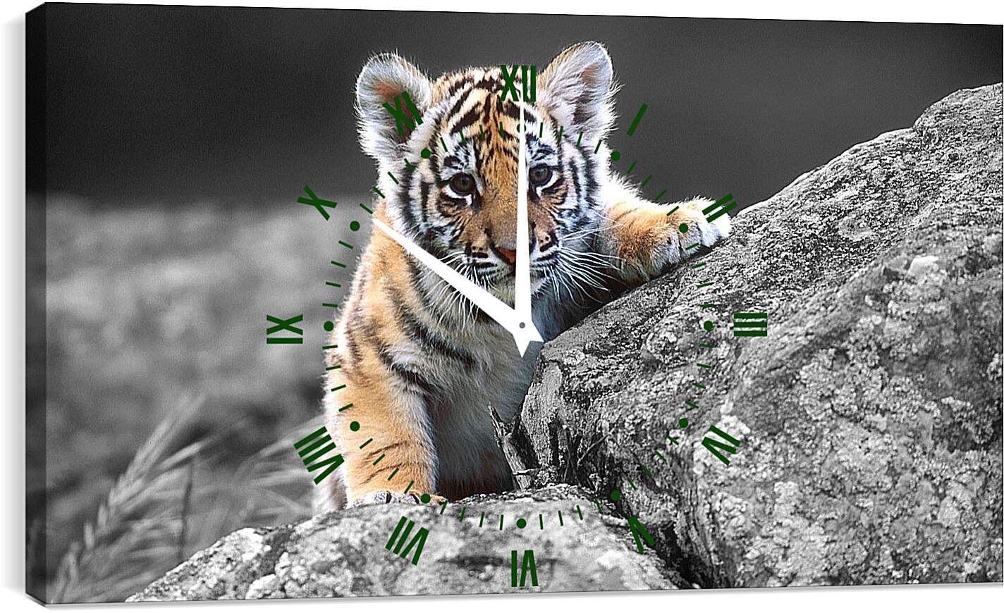 Часы картина - Бенгальский тигренок. Маленькая кошка. Животные