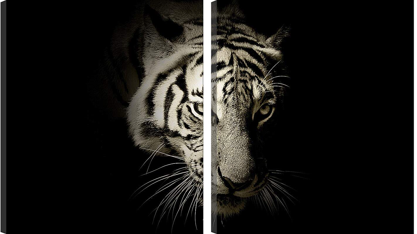 Модульная картина - Белый тигр. темнота