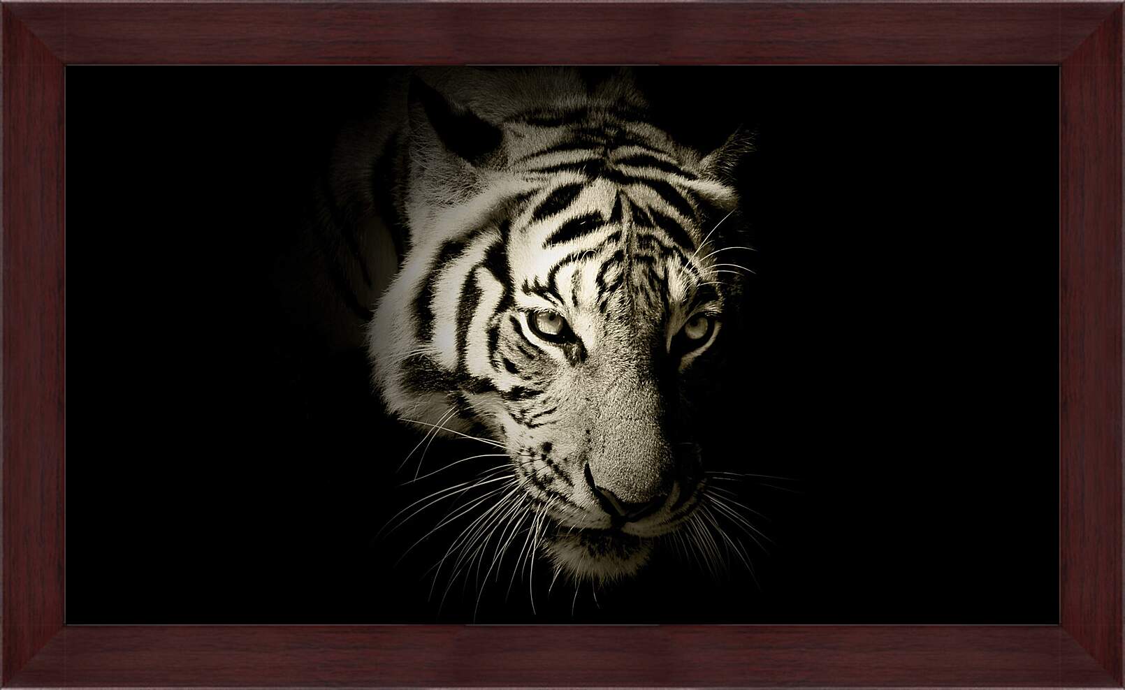 Картина в раме - Белый тигр. темнота