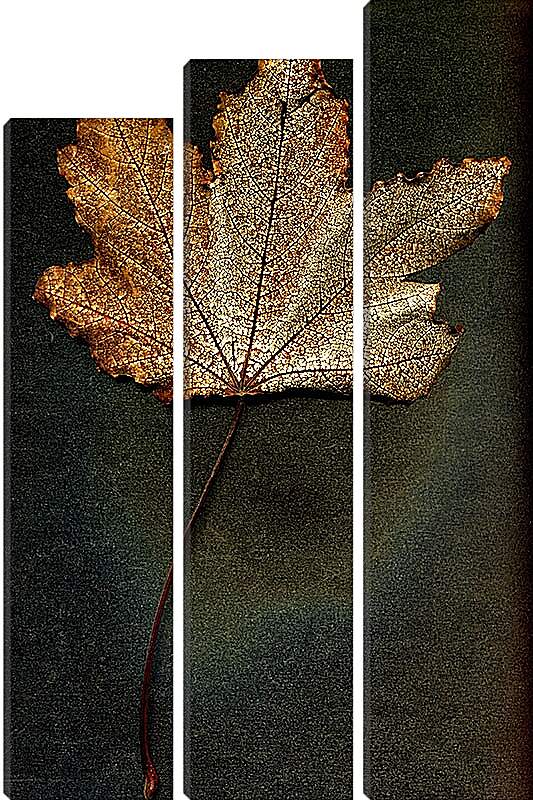 Модульная картина - Осенний лист