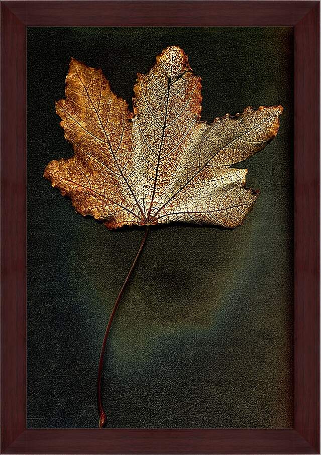 Картина в раме - Осенний лист
