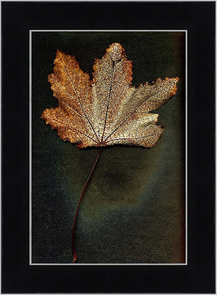 Картина в раме - Осенний лист