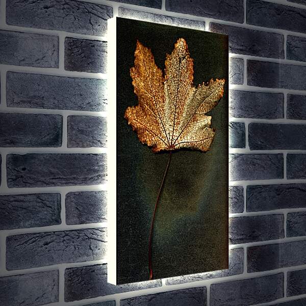 Лайтбокс световая панель - Осенний лист