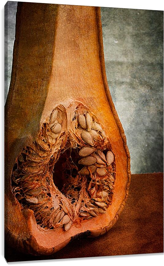 Постер и плакат - Анатомия тыквы