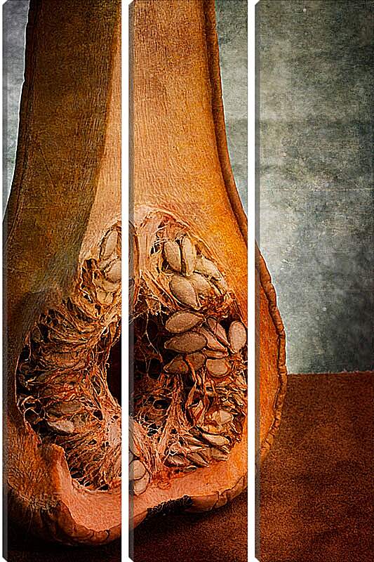 Модульная картина - Анатомия тыквы