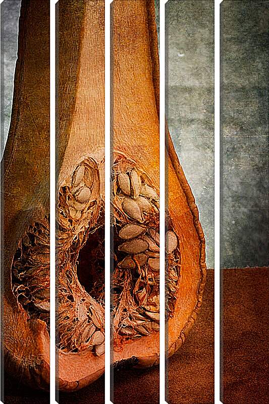 Модульная картина - Анатомия тыквы