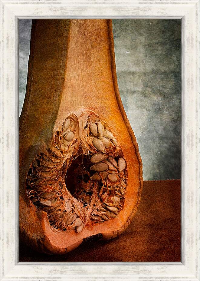 Картина в раме - Анатомия тыквы