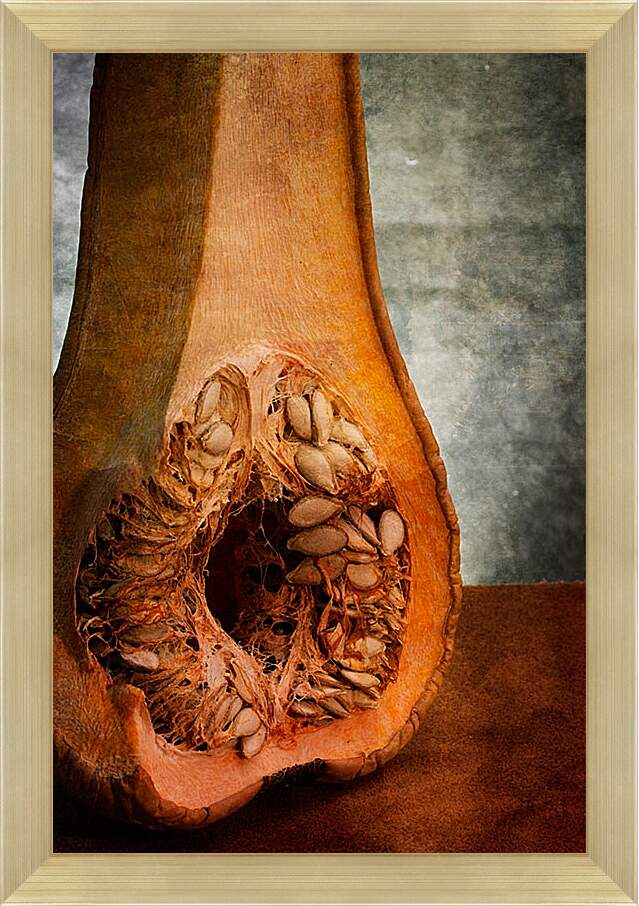 Картина в раме - Анатомия тыквы