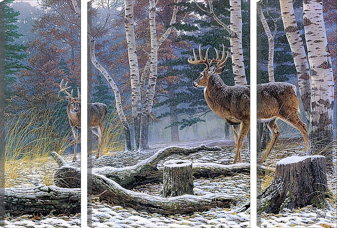 Модульная картина - Два лесных оленя