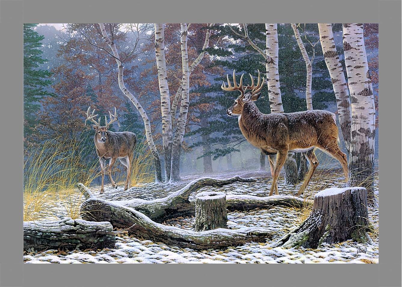 Картина в раме - Два лесных оленя