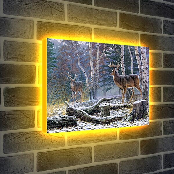 Лайтбокс световая панель - Два лесных оленя