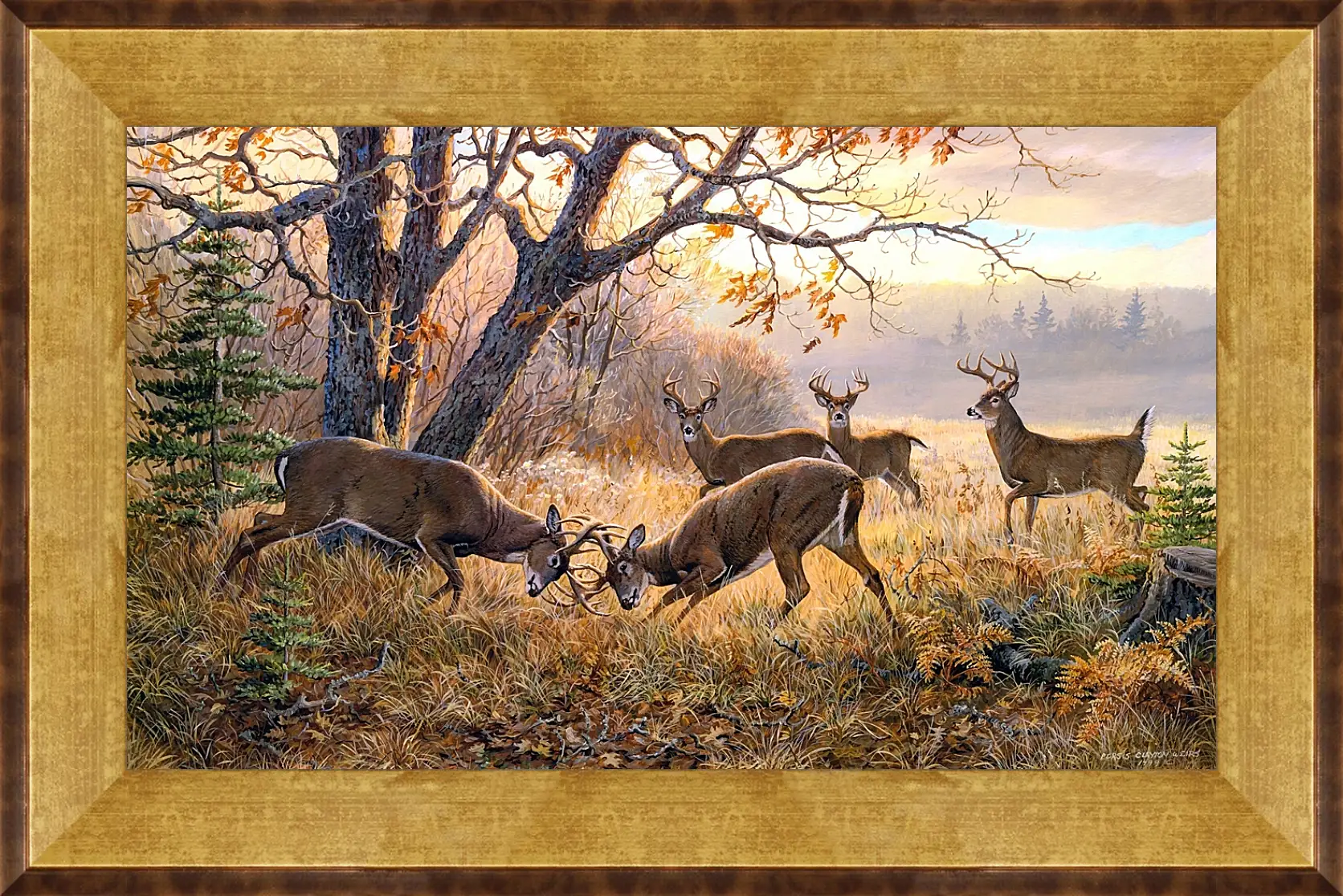 Картина в раме - За внимание самки