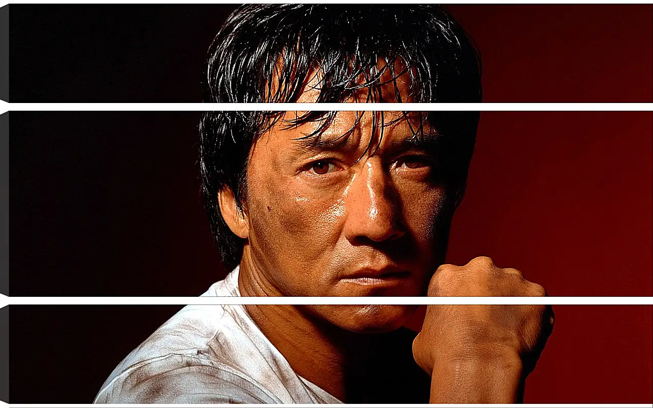 Модульная картина - Джеки Чан. Jackie Chan