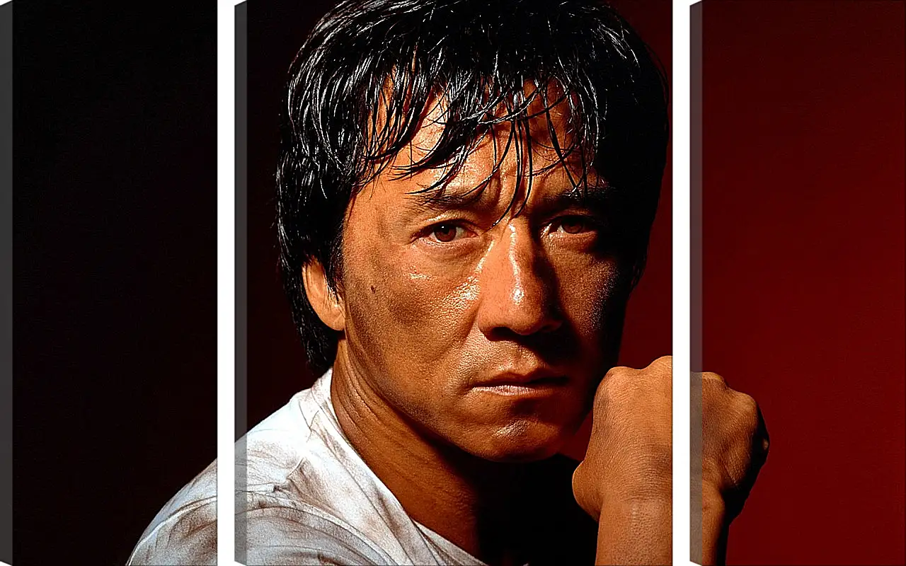 Модульная картина - Джеки Чан. Jackie Chan