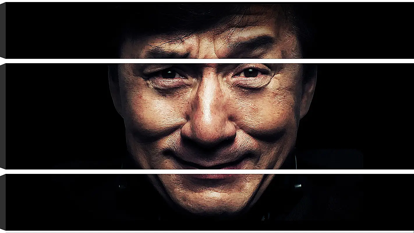 Модульная картина - Джеки Чан. Jackie Chan